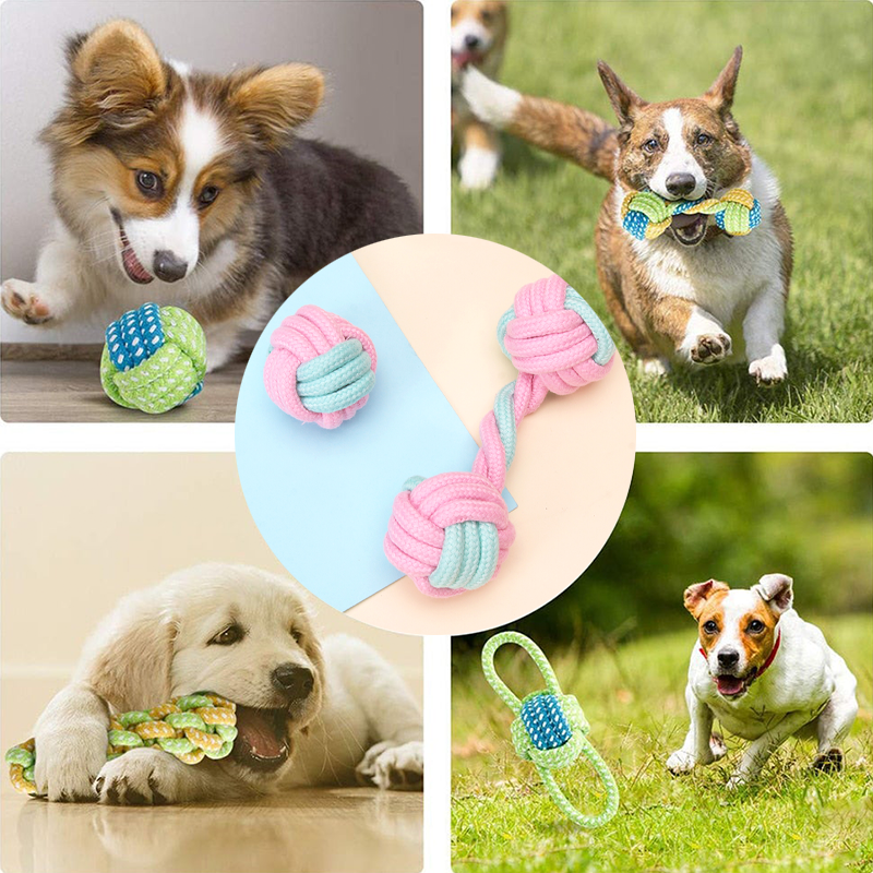 Mini Dog Interactive Cotton Rope - fede-rizzo