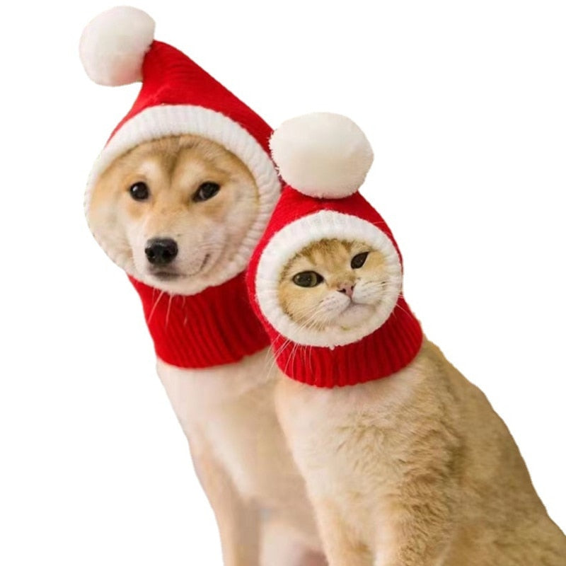 Pet Christmas Hat