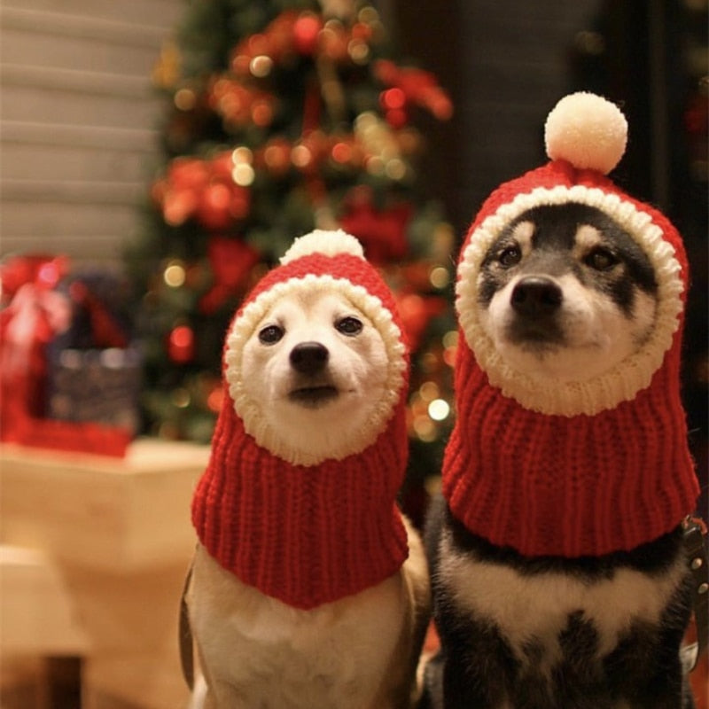 Pet Christmas Hat