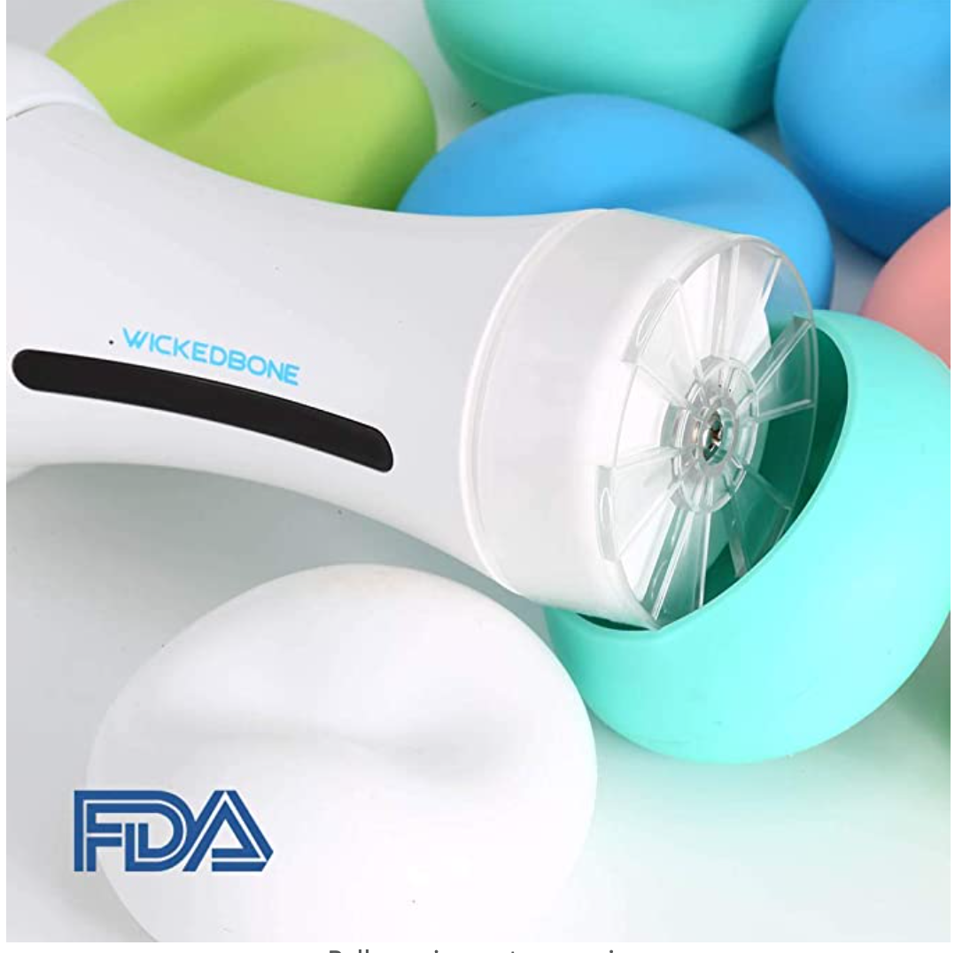 Wickedbone Smart Bone, Automatic & Interactive Toy for Dog