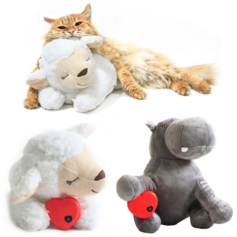 Plush Pet Toy - fede-rizzo