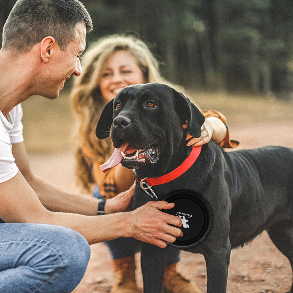 Collapsible Dog Bowl - fede-rizzo