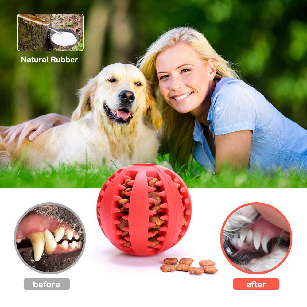 Rubber Pet Ball Toy - fede-rizzo