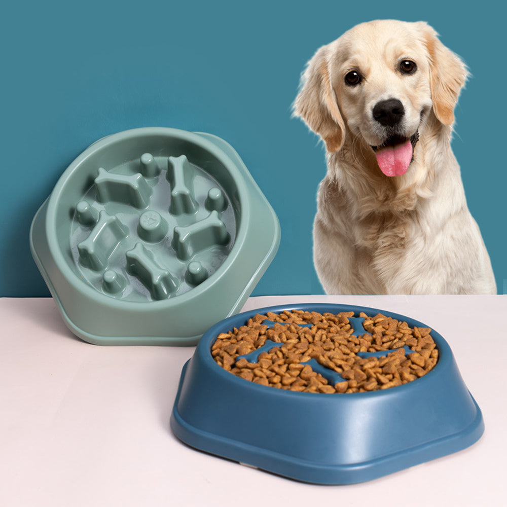 Pet Slow Feeder - fede-rizzo