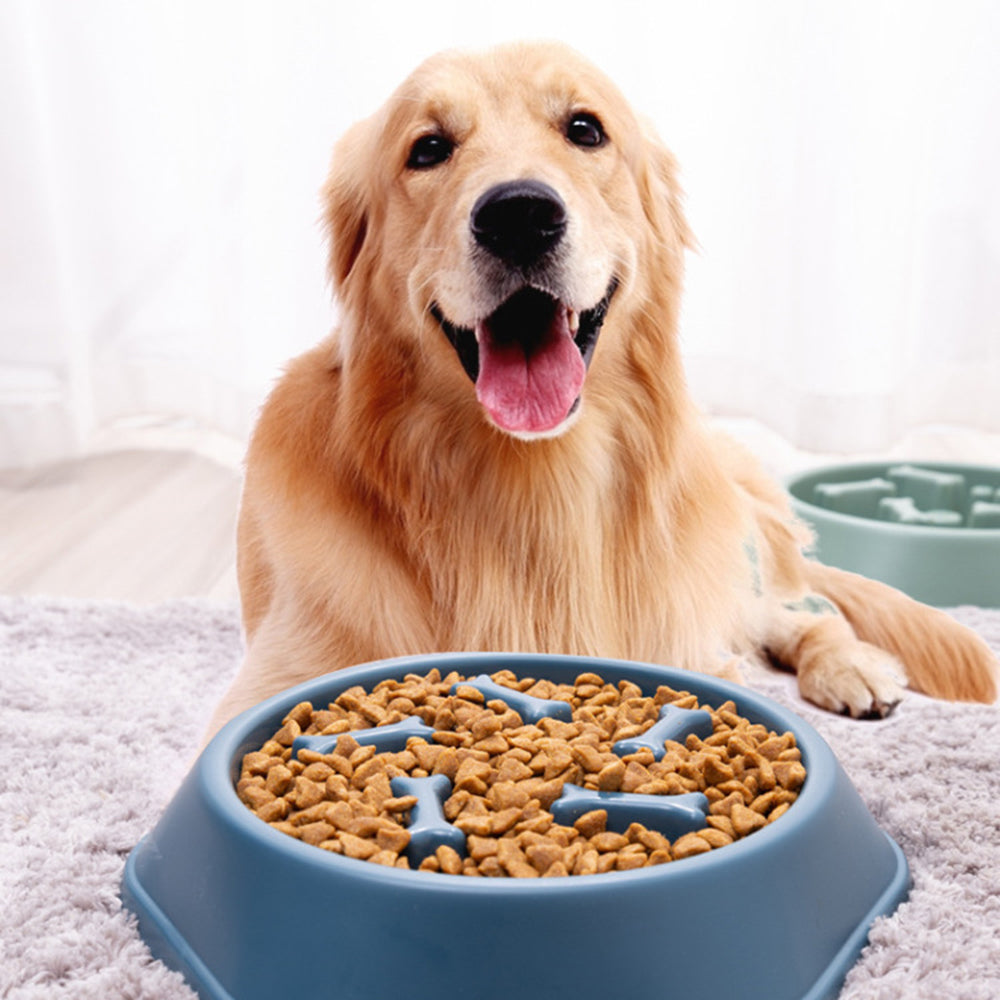 Pet Slow Feeder - fede-rizzo