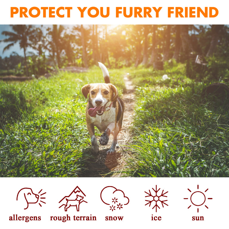 Pet Paw Care Cream - fede-rizzo