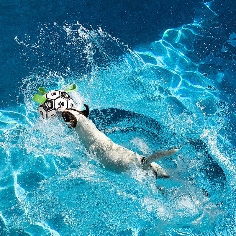 Interactive Pet Football Toy - fede-rizzo