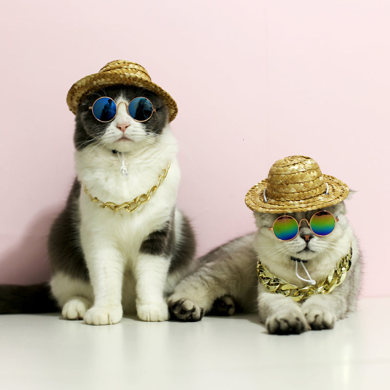 Cute Retro Pet Sunglasses - fede-rizzo