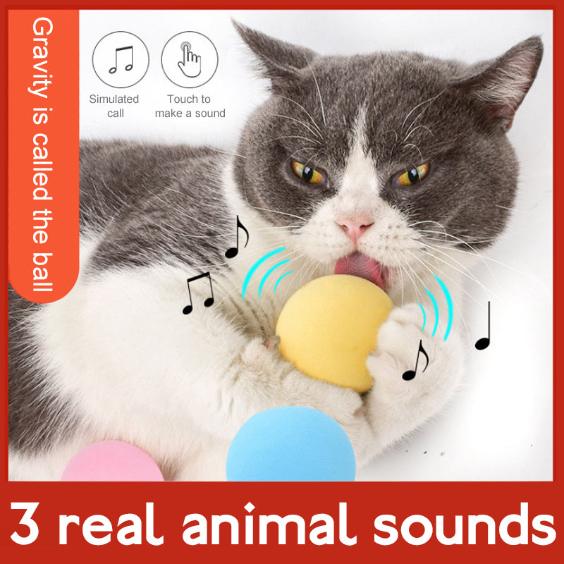 Cat Smart Touch Sound Ball - fede-rizzo