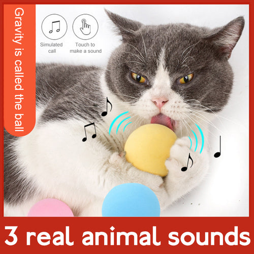 Cat Smart Touch Sound Ball - fede-rizzo
