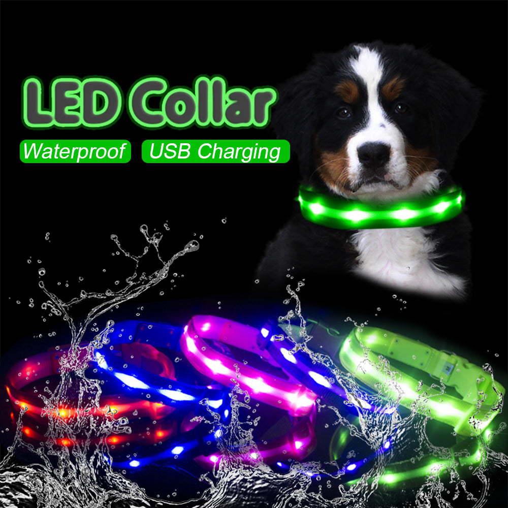 Fashion LED Dog Collar - fede-rizzo