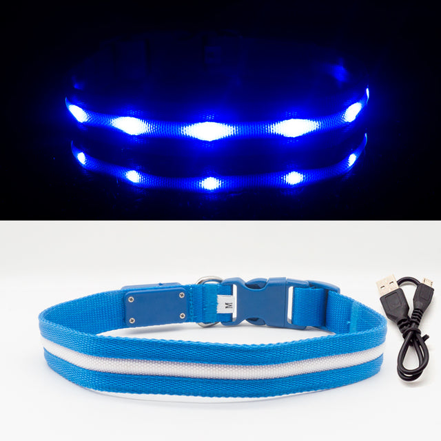 Fashion LED Dog Collar - fede-rizzo