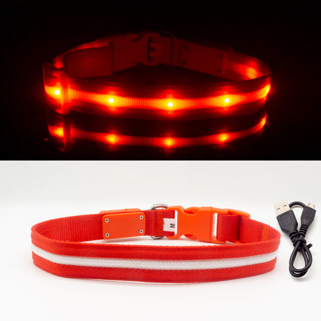 Fashion LED Dog Collar - fede-rizzo