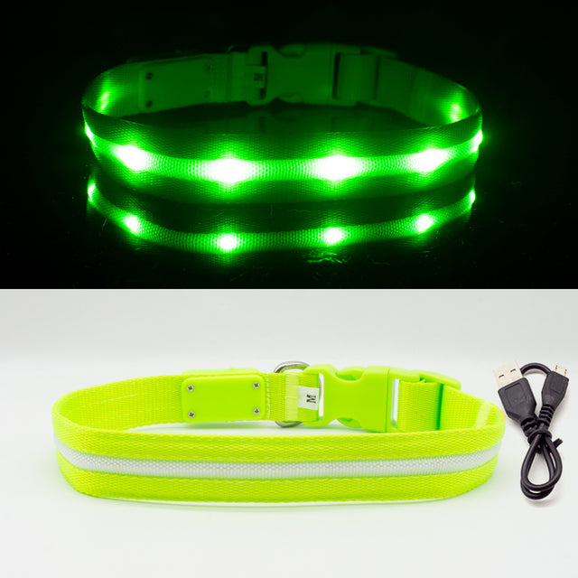 Fashion LED Dog Collar - fede-rizzo