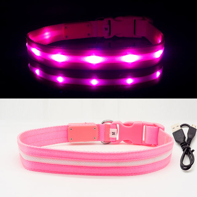 Fashion LED Dog Collar - fede-rizzo