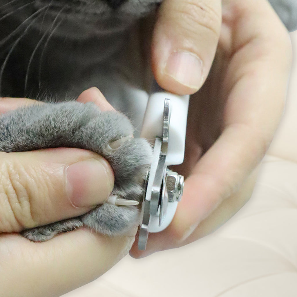 Pet Nail Clipper - fede-rizzo