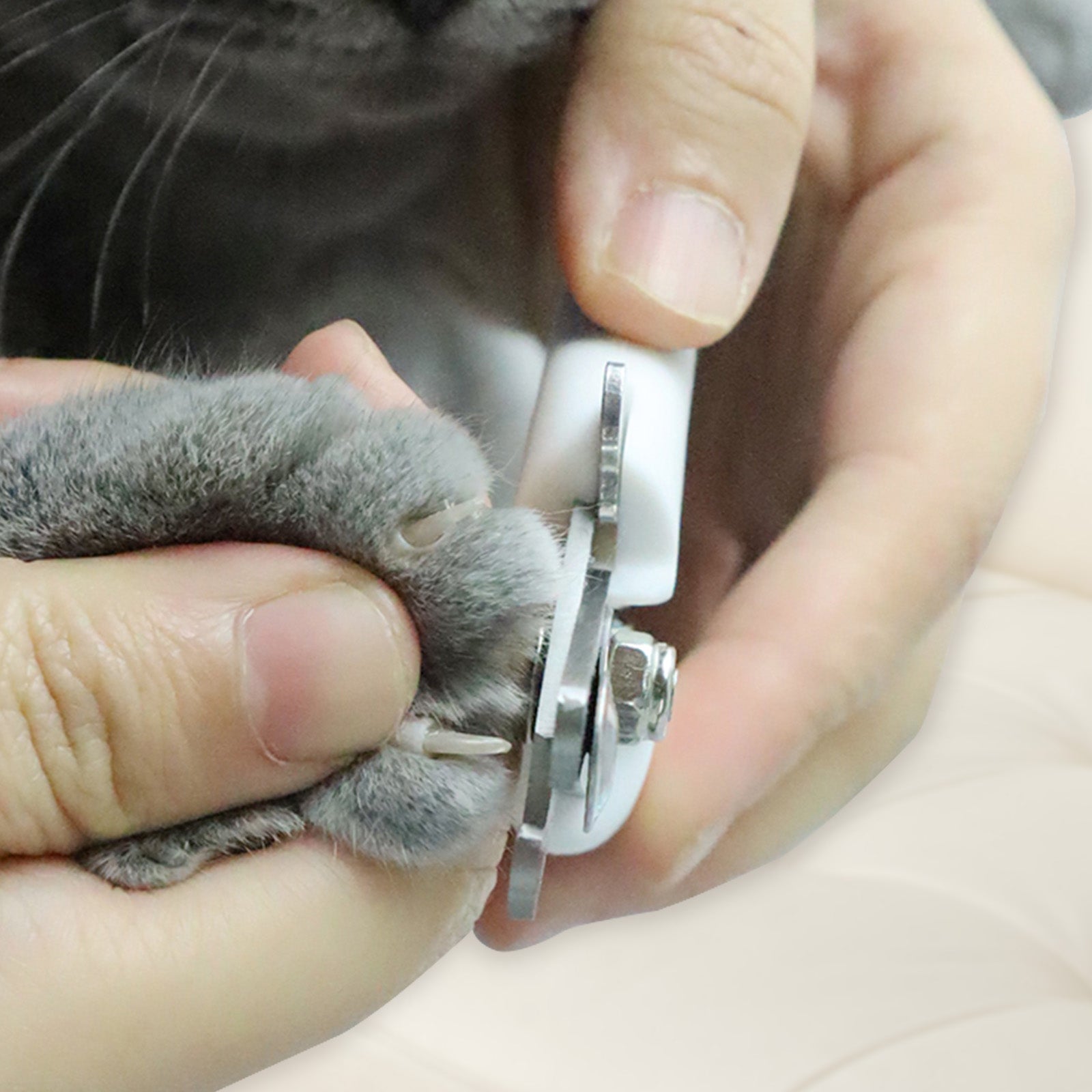 Pet Nail Clipper - fede-rizzo
