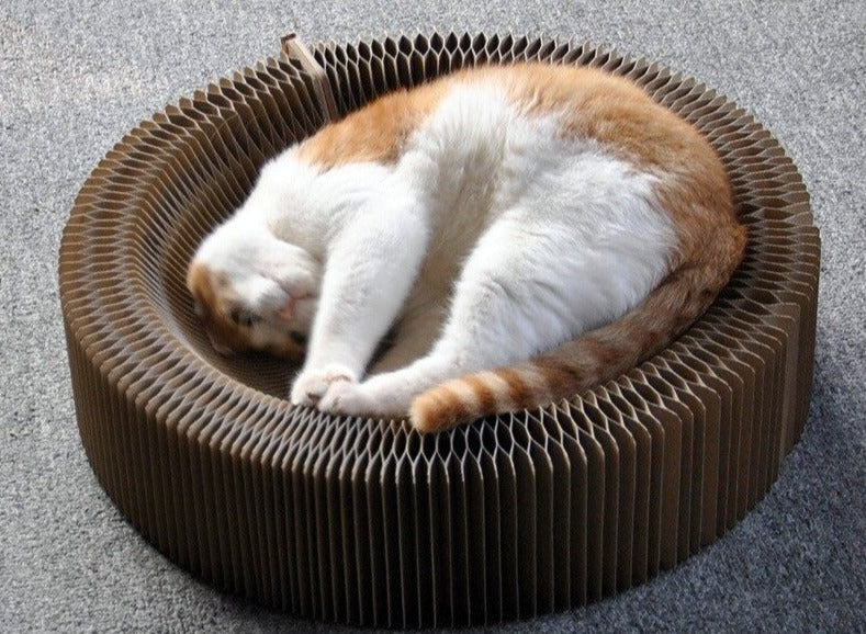 Magic Organ Cat Scratching Board